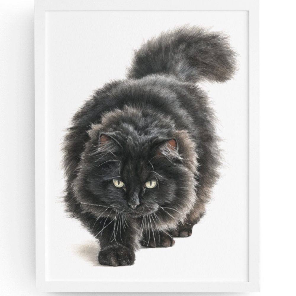 Watercolor Siberian Black Cat Art Print Illustartion - Pet Portrait - Unframed